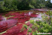 /album/fotogalereya-krasivye-mesta/a2415-142-1-jpg/